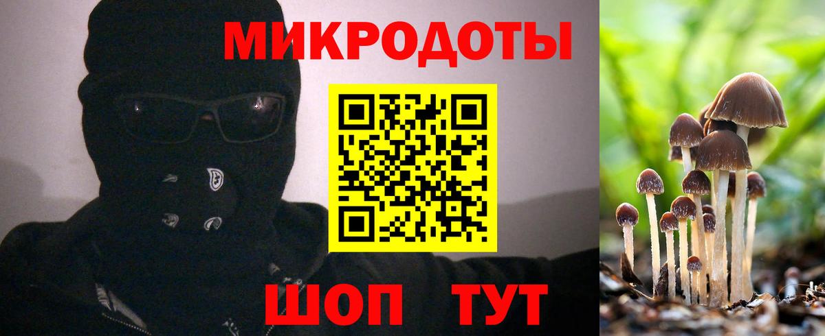 купить закладку  Вход с VPN  Камень-на-Оби  Галлюциногенные грибы прущие грибы 